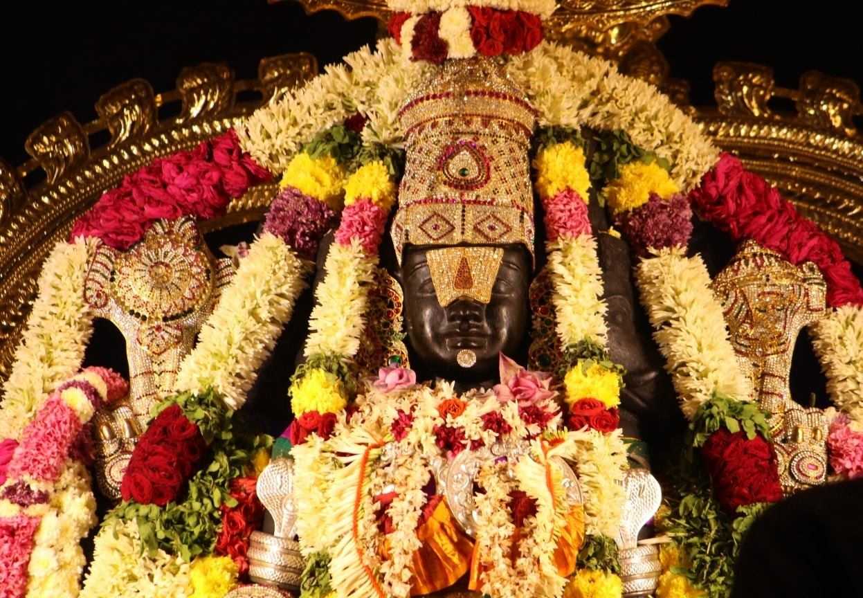 Selfless Service with Gratitude