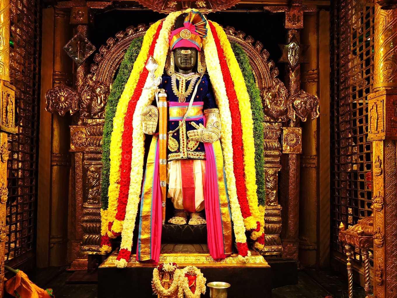 Choose to Live in Peace not Pieces