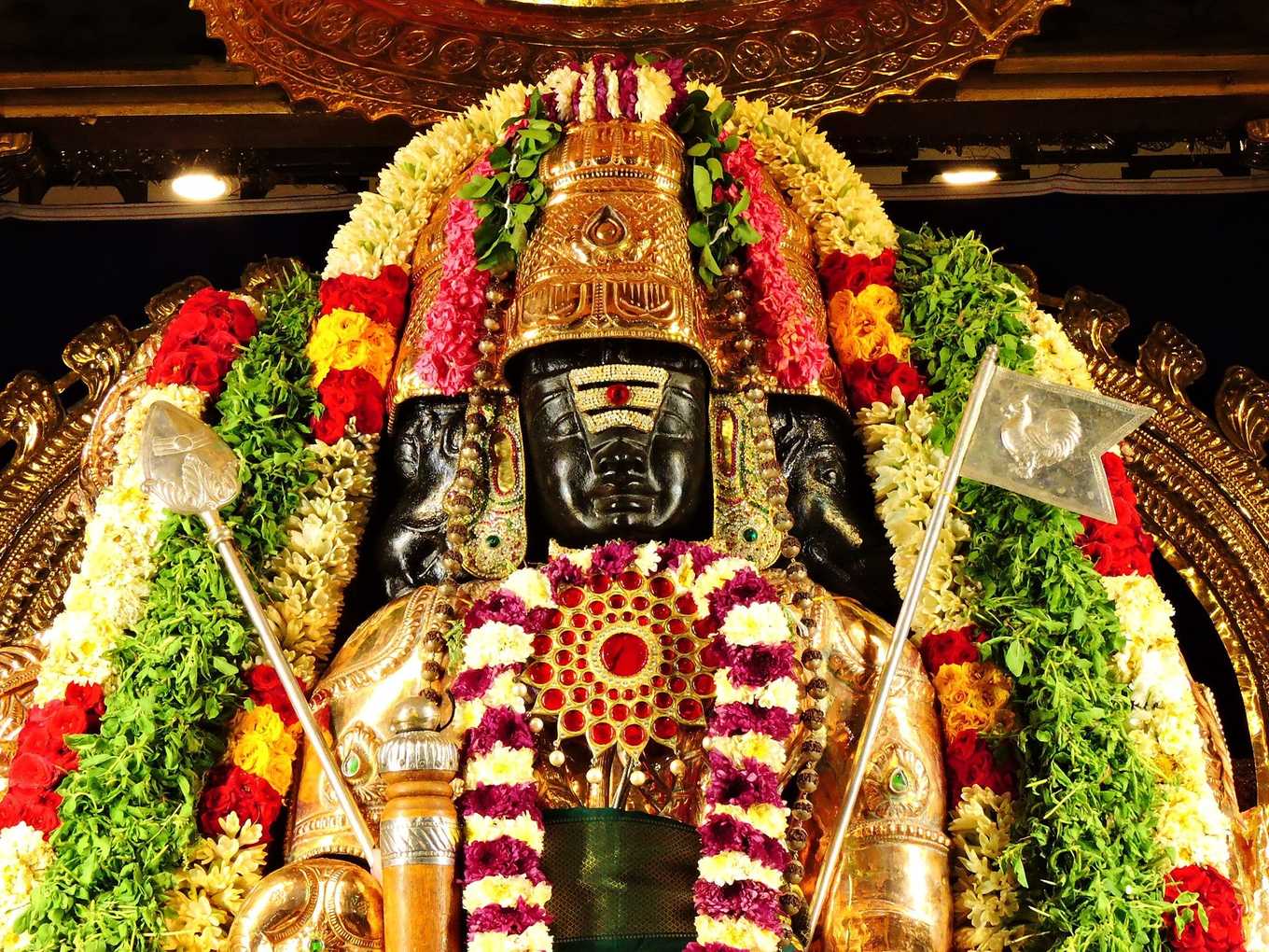 Knowing by Experience