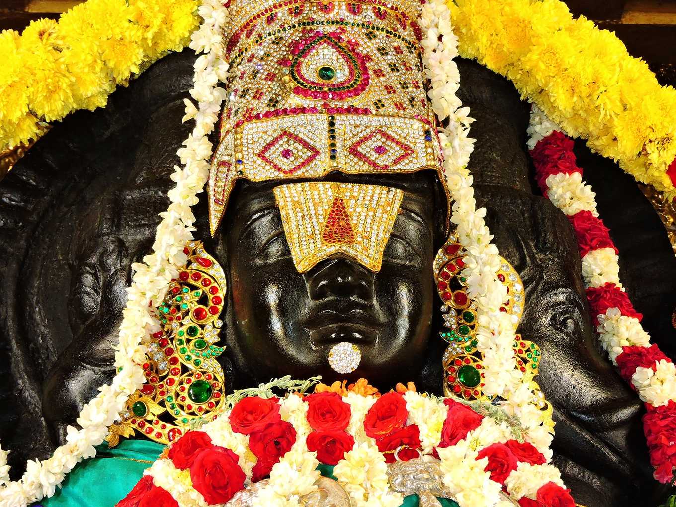 Zenith of Worldly Life