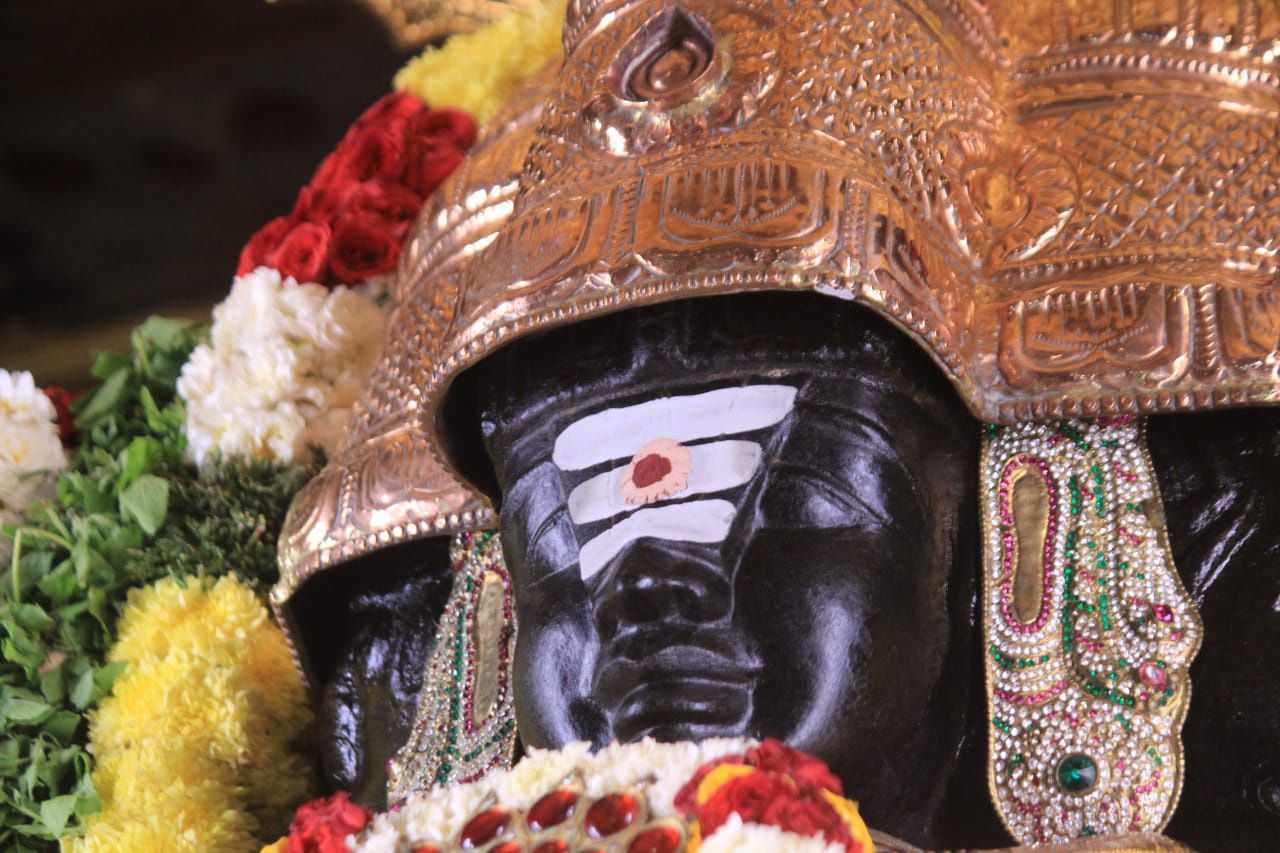 Make the Best of Life