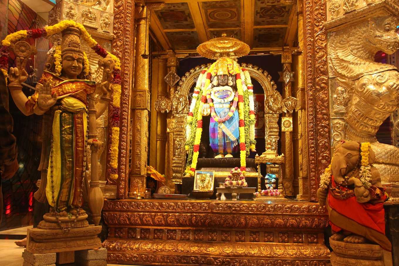 Absolutely The Best!