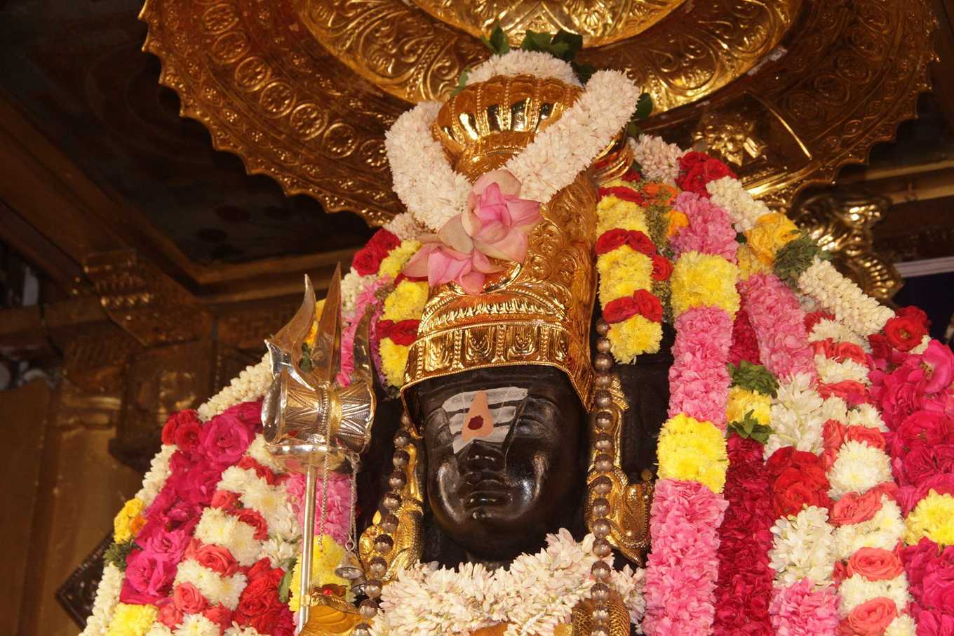 Do Your Duty, But Don't Expect Results