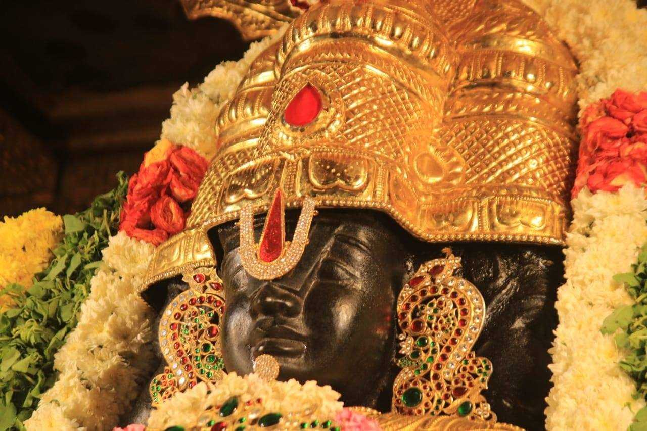 The Immortality of the Soul