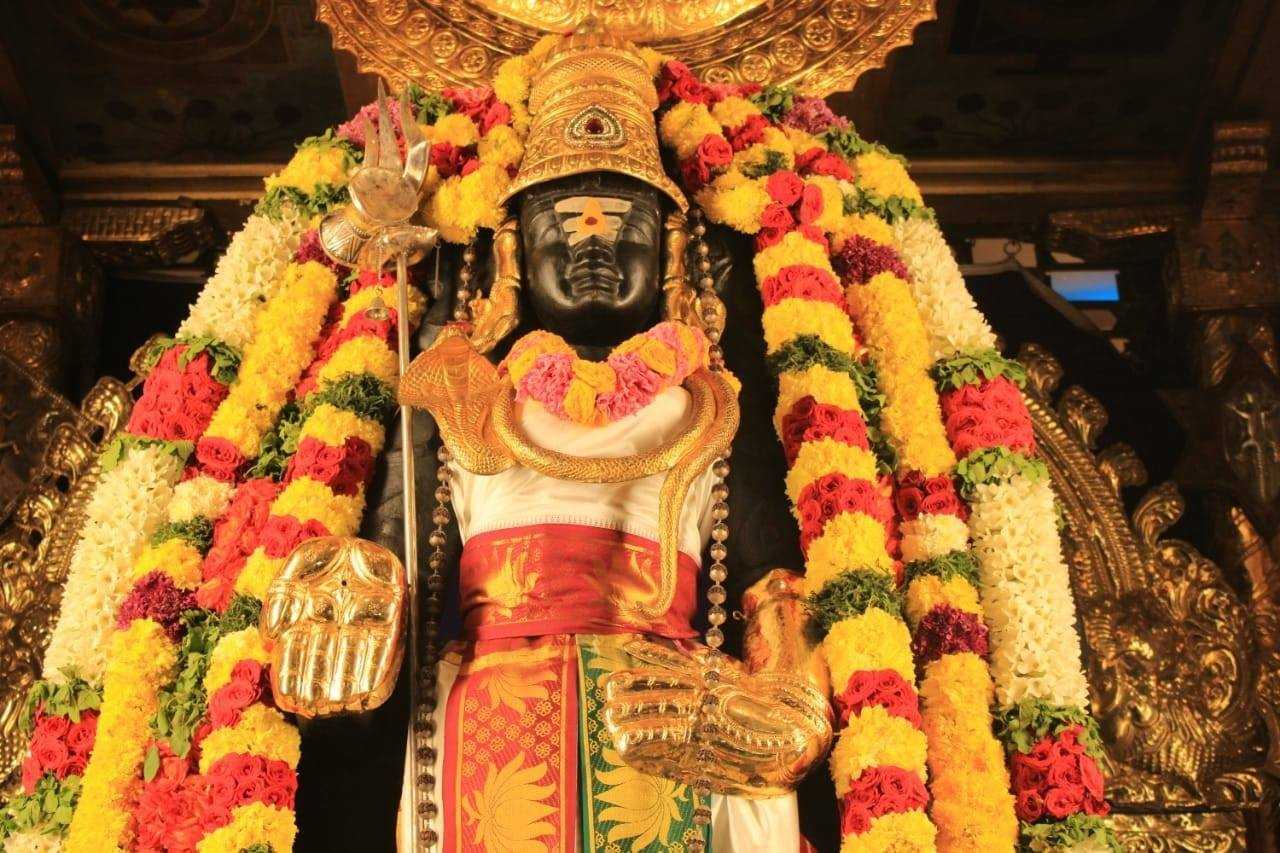 Perform to Perfection